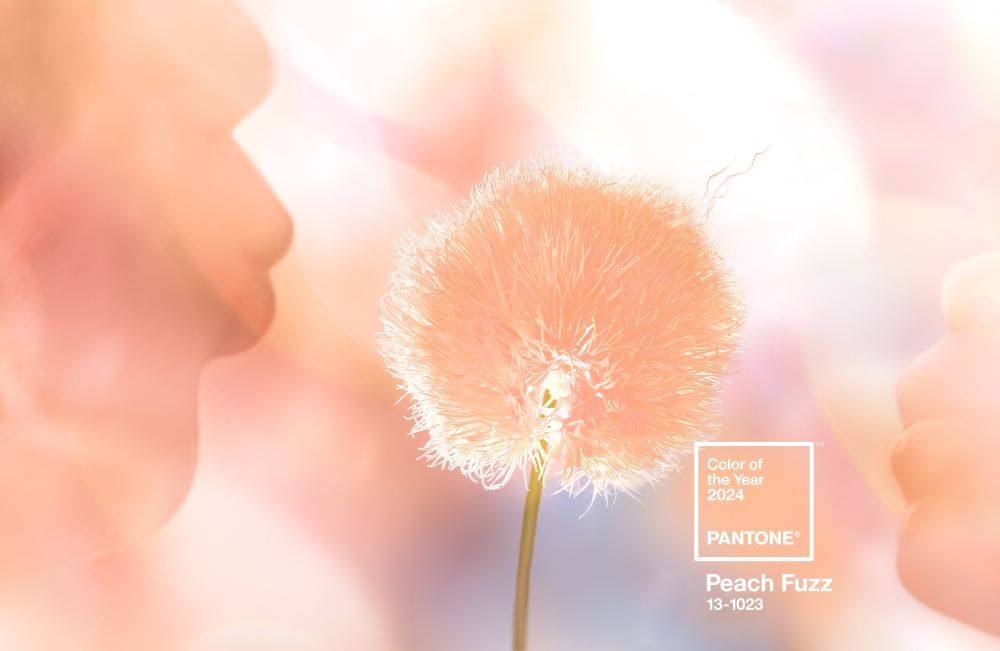 Peach Fuzz Pantone