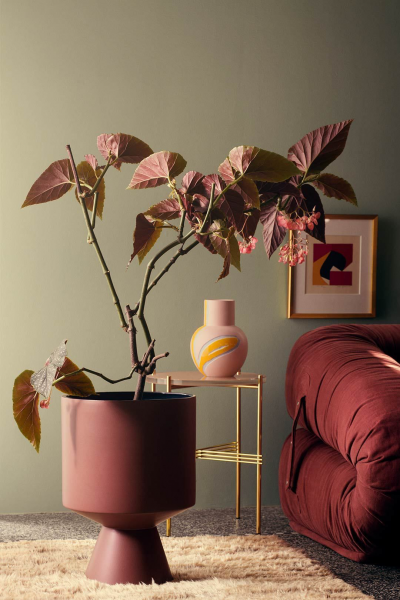 Les tendances déco : le style cosy velours, chaleureux et précieux